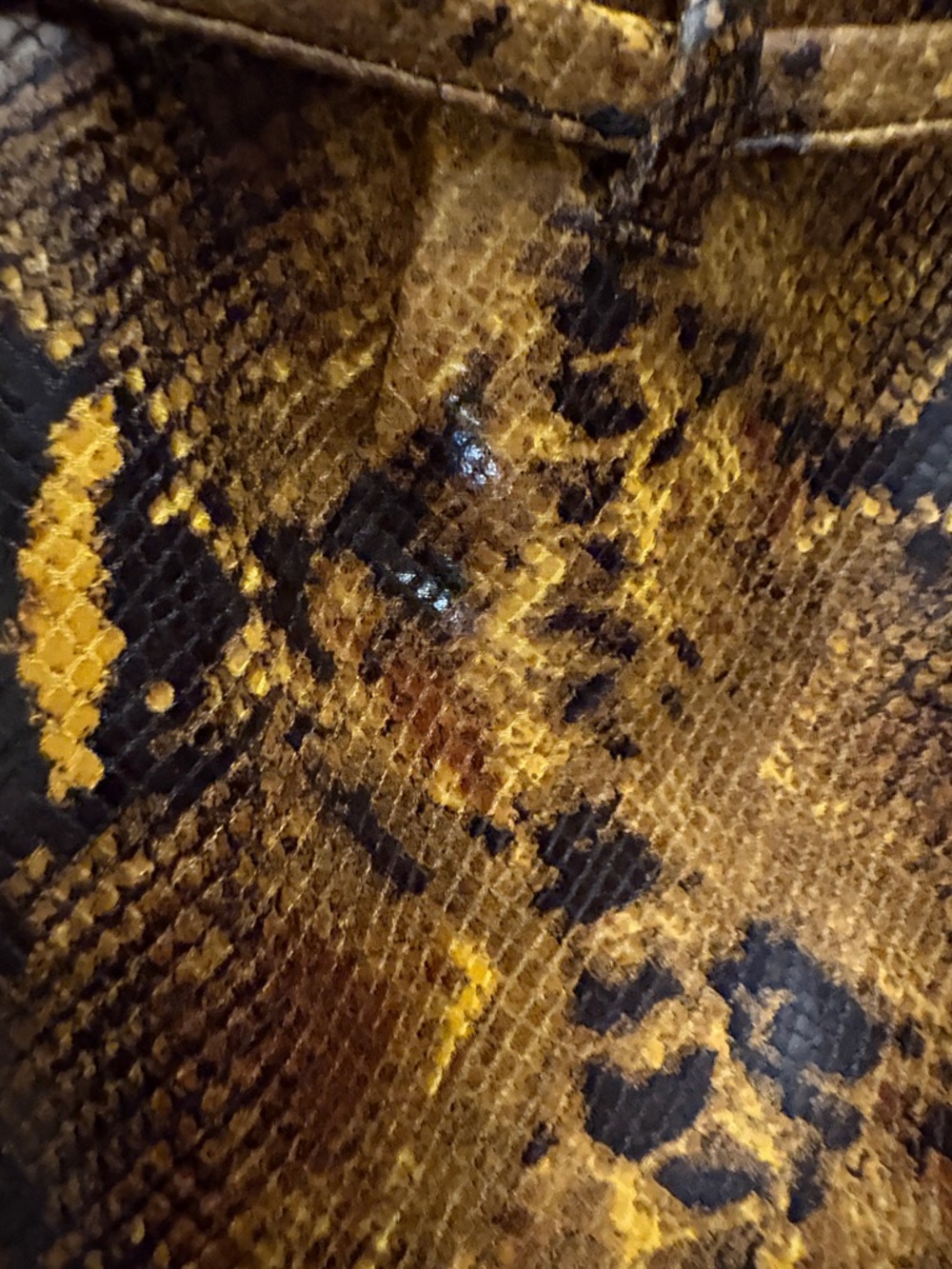 Urban Outfitters Snake-Print Flare Pants - Picture 12 of 16